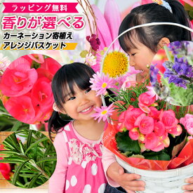 花 母の日 早割 カーネーション ミックス 寄せ植え プレゼント 母の日 ギフト 贈り物 フラワーアレンジメント バスケット付き 寄植え 送料無料 フラワーギフト 香りが選べるハーブ ラベンダーまたはローズマリー カーネーション リーガースベコニア 2024年