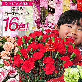 楽天市場 鉢花 カラー ベージュ 人気ランキング1位 売れ筋商品