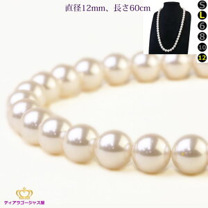  p[lbNX 1.2cma 60cm lbNX p[ zCg ubN O^Cv w Ǝ tH[} JIP Mtg v[g prln-12-60-reserve