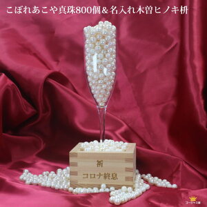 Si o^  e ܂  p[eB? CeA VpOX S[WX ڂ^ ؑ]qmL 8 p[ ^ {^ 󂠂 KiOi 800 Mtg v[g