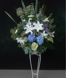 R[X^hԁ@u[yzyԋzyjzyJXzyMtgz