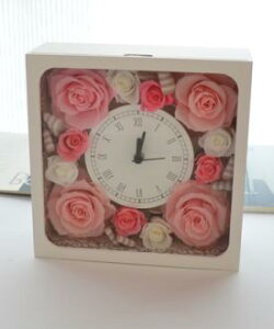 vU[uht[ Mtg v@NVJsNvU[uht[vyzyԋzy̓zyhV̓z