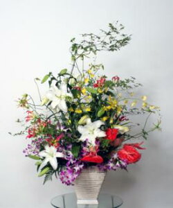 gCAM[@ԁyzyԋzyN[ցz