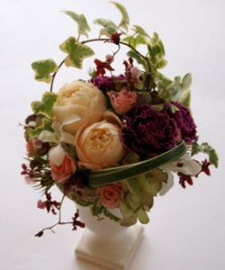 [sAAW@sN@ԁyԋzyEẴMtgɁzyN[ցz