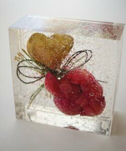 ACXt[ Mtg WF{bNX@䉖{h[yԋz