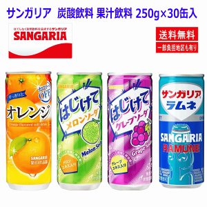 yj[AzTKA Y_ ʏ` 4 1P[X(250g×30ʓ) ƃIW l ͂ăO[v\[_ ͂ă\[_ 30ʃZbg ֓