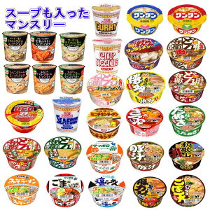 V ɂ킢L Nm[X[vpX^VKQA}  Tb| Nm[X[vpX^A^X[v~jTCY }X[Zbg  30H 