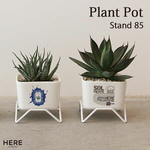 Plant Pot w/stand 85 vg|bg w/X^h 85 A T{e ϗtA Aؔ HERE by DETAIL