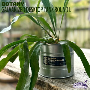GALVANIZED DESKTOP TANK ROUND L �K���o�i�C�Y�h �f�X�N�g�b�v �^���N ���E���h L�T�C�Y ���J�o�[ �K�[�f�j���O �ϗt�A�� �_���g�� DULTON