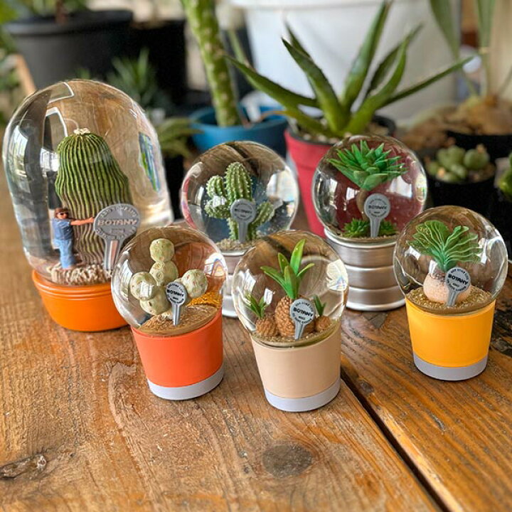 楽天市場】PLANTS WATER GLOBE Mサイズ 2種類 プランツ ウォーター 