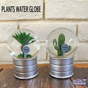 PLANTS WATER GLOBE MTCY 2 vc EH[^[ O[u Xm[h[ T{e DULTON _g