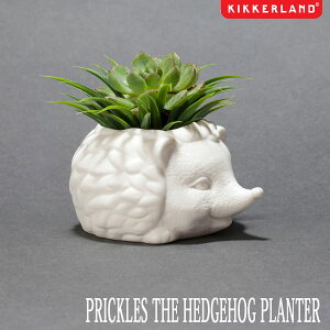 PRICKLES THE HEDGEHOG PLANTER vbNXUwbWzbOv^[ A T{e Aؔ KIKKERLAND LbJ[h