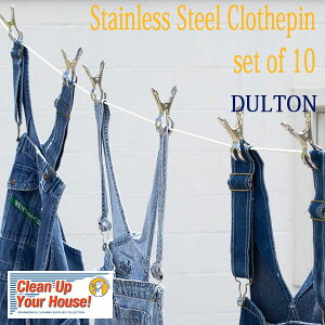 STAINLESS STEEL CLOTHESPIN SET OF 10 XeX X`[ NXs 10pcs Zbg  oT~ _g DULTON