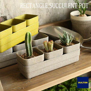BOTANY RECTANGLE SUCCULENT POT {^j[ N^O TLg |bg Aؔ RR _g DULTON