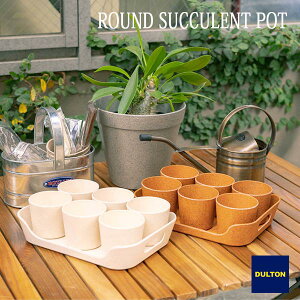 BOTANY ROUND SUCCULENT POT {^j[ Eh TLg |bg Aؔ RR _g DULTON
