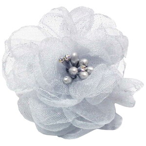 yGg[Ń|Cg5{zRT[W  bV×I[KW[ P Ԑc LL 9o fB[X  tH[} Ǝ  w X[c \  ct 