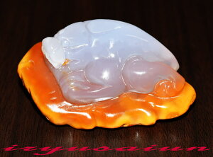 yz mE VR ꓁蒤溍tJ^ Vi _̖F IWiagate NetsuketƂ t tRЗʉ_ʔ