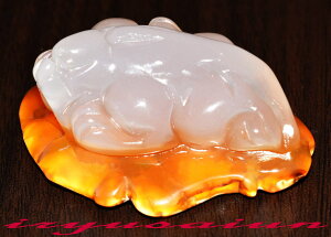 yz mE VR ꓁蒤溍tJ^ Vi _̖F IWiagate NetsuketƂ t tRЗʉ_ʔ