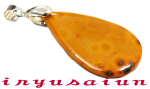 �퍑�g���� ���m�E�V�R�� �y���_���g�g�b�v�j�����p �V�i���f�B�[�X�l�b�N���X�����Y�l�b�N���Xnecklace agate��g����̈�� �З��ʉ_