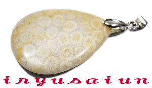 yzVR X TS ΃tHbVR[ eԐ΃y_ggbvjp Vi _̃fB[XlbNXYlbNXnecklace coral fossilЗʉ_ʔ