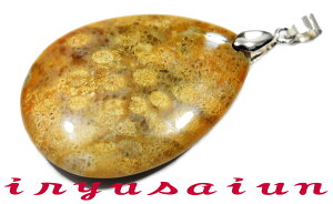 yzVR X TS ΃tHbVR[ eԐ΃y_ggbvjp Vi _̃fB[XlbNXYlbNXnecklace coral fossilЗʉ_ʔ