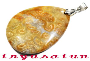 yzVR X TS ΃tHbVR[ eԐ΃y_ggbvjp Vi _̃fB[XlbNXYlbNXnecklace coral fossilЗʉ_ʔ