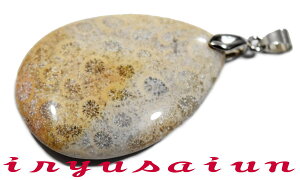 yzVR X TS ΃tHbVR[ eԐ΃y_ggbvjp Vi _̃fB[XlbNXYlbNXnecklace coral fossilЗʉ_ʔ