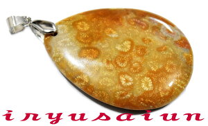 yzVR X TS ΃tHbVR[ eԐ΃y_ggbvjp Vi _̃fB[XlbNXYlbNXnecklace coral fossilЗʉ_ʔ
