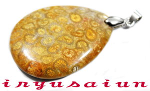yzVR X TS ΃tHbVR[ eԐ΃y_ggbvjp Vi _̃fB[XlbNXYlbNXnecklace coral fossilЗʉ_ʔ