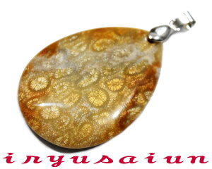 yzVR X TS ΃tHbVR[ eԐ΃y_ggbvjp Vi _̃fB[XlbNXYlbNXnecklace coral fossilЗʉ_ʔ