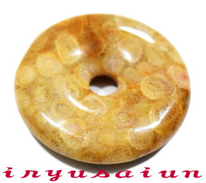 yzVR X TS  JtHbVR[ eԐΒjp Vi _̃fB[XlbNXYlbNXnecklace coral fossilЗʉ_ʔ