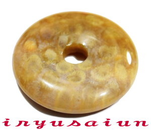 yzVR X TS  JtHbVR[ eԐΒjp Vi _̃fB[XlbNXYlbNXnecklace coral fossilЗʉ_ʔ