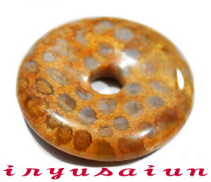 yzVR X TS  JtHbVR[ eԐΒjp Vi _̃fB[XlbNXYlbNXnecklace coral fossilЗʉ_ʔ