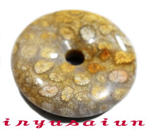 yzVR X TS  JtHbVR[ eԐΒjp Vi _̃fB[XlbNXYlbNXnecklace coral fossilЗʉ_ʔ