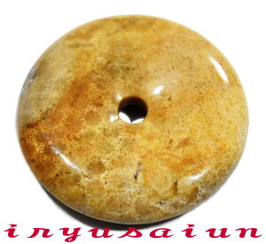 yzVR X TS  JtHbVR[ eԐΒjp Vi _̃fB[XlbNXYlbNXnecklace coral fossilЗʉ_ʔ