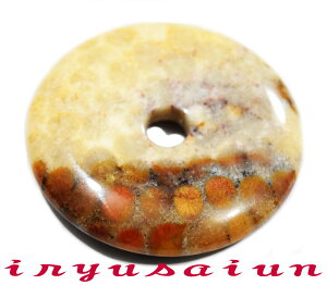 yzVR X TS  JtHbVR[ eԐΒjp Vi _̃fB[XlbNXYlbNXnecklace coral fossilЗʉ_ʔ