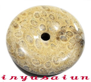 yzVR X TS  JtHbVR[ eԐΒjp Vi _̃fB[XlbNXYlbNXnecklace coral fossilЗʉ_ʔ