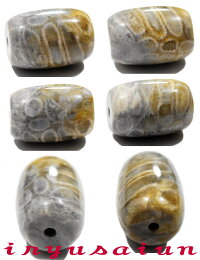 天然珊瑚(サンゴ)化石天珠