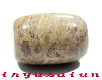 天然珊瑚(サンゴ)化石天珠