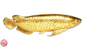 yz 哺   Ai ViJ^u z^Ă Arowana ItBX ֐CeA Vzj j_b J^F ^FЗ