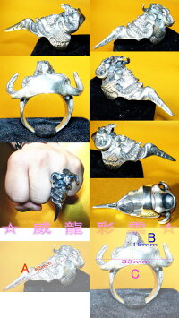 S925髑髏王どくろおうシルバ−925リング20号新品男女兼用メンズ指輪レディース指輪ジュエリーアクセサリー送料無料Silverskullring威龍彩雲通販楽天スーパーSALE期間中50%OFFポイント20倍