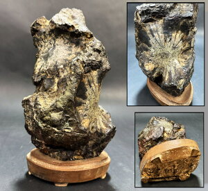 �y���������z�e�Ԑ� �ӏܐ� ���ؑ� ��_���̒u�� ��3.3kg �Ϗܗp �H����� �V�R�� ���R�� ���Ό��� (���Ƒ��o��) �З��ʉ_