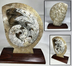 yzAiCg  SjA^Cgi 6.7kg DÐf{I (35疜NO)RHgY ӏܐ ވЗʉ_ʔ