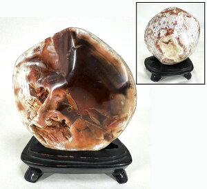 yzVRΒu  ڕ~CeA ؑIuWF gW[mE Зʉ_ʔ