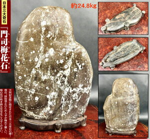 yzVRi~Ԑ  ӏܐΓؑ _ u24.8kg Ϗܗp H Ί VR R  (Ƒoj Зʉ_ʔ