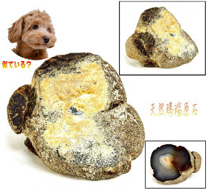 yzVR팢 ӏܐΓؑ _ u4.9kg Ϗܗp H ΓVR R   (Ƒoj Зʉ_ʔ