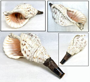 yzLJ @L zL قL39cm CeA uN @ _ _ЍՋVՂ J^ Ɋ(Ƒoj Зʉ_ʔ