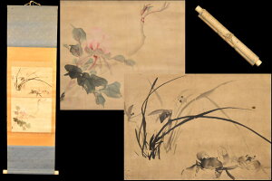 【送料無料】古彩色水墨 水草 蟹 花手巻き画絵巻 紙本 肉筆立軸 年代保証 書法掛け軸 古美術 茶掛古玩 文化財収集威龍彩雲通販