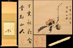 yzRl I 芪G掲 { M Nۏ @ |Ôp | 擂 {Ê߈Зʉ_ʔ