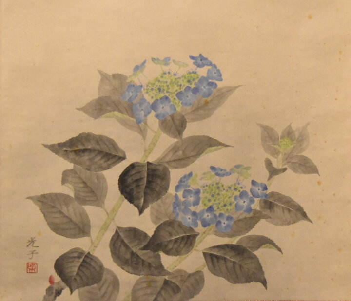 楽天市場】【送料無料】柴田光子 紫陽花 手巻き画絵巻共箱 在銘 紙本  